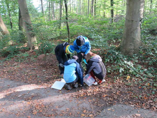 Wald2_2